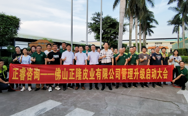 助力皮革行業(yè)再樹標(biāo)桿——正隆皮業(yè)全面管理升級(jí)項(xiàng)目啟動(dòng)！